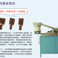 全自動伺服成型機(jī)